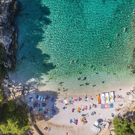 Stunning In With Wifi * Pola