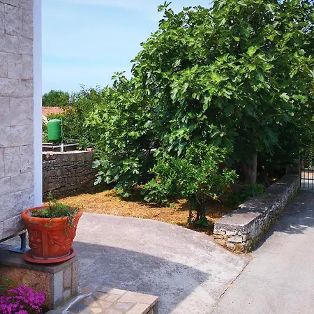Beautiful In With Wifi Appartement *